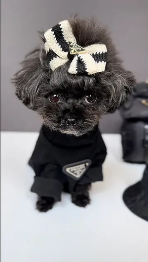 PAWDA SWEATER