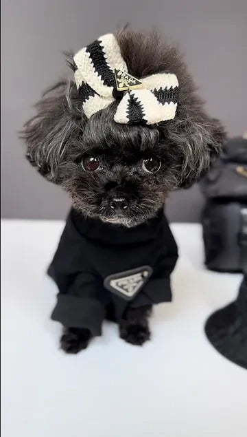 PAWDA SWEATER
