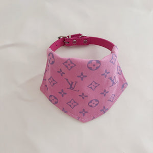 LOUIS PAWTON COLLAR AND BANDANA