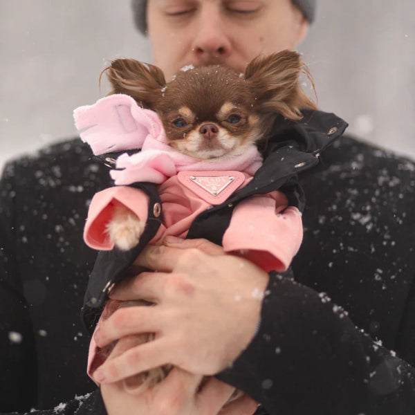 PAWDA SWEATER