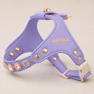 JEWEL BOX LUXURY DOG HARNESS & LEASH SET