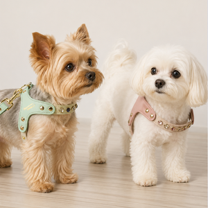 CRYSTAL JEWEL HARNESS & LEASH SET