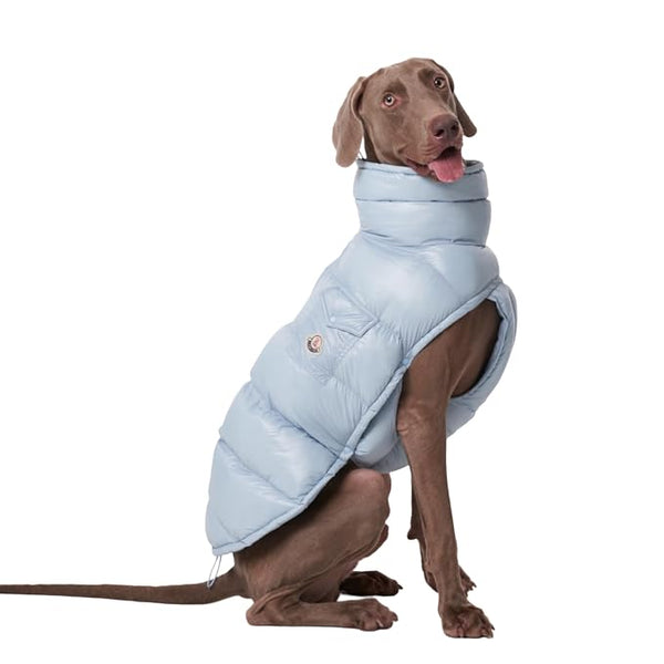 PAWCLER VEST
