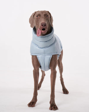 PAWCLER VEST