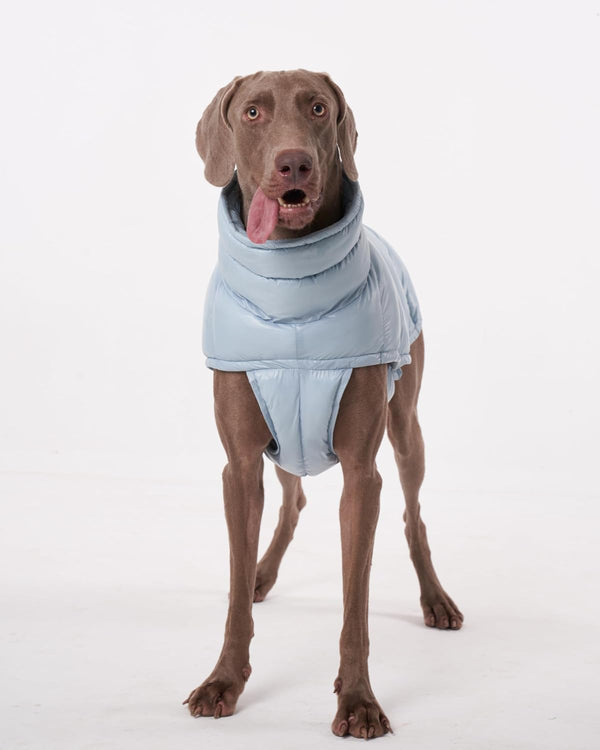 PAWCLER VEST