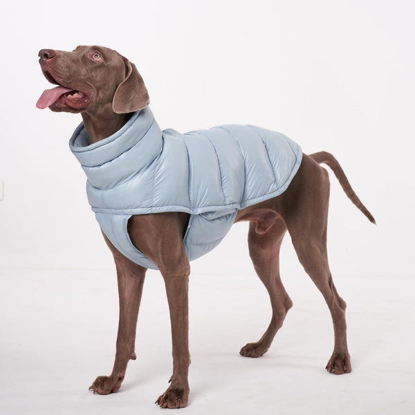 PAWCLER VEST