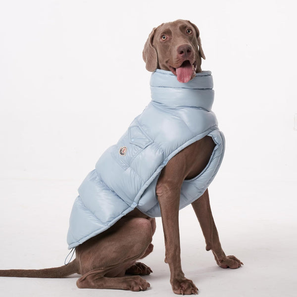 PAWCLER VEST