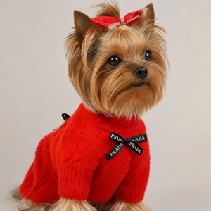 Red Luxe Knit
