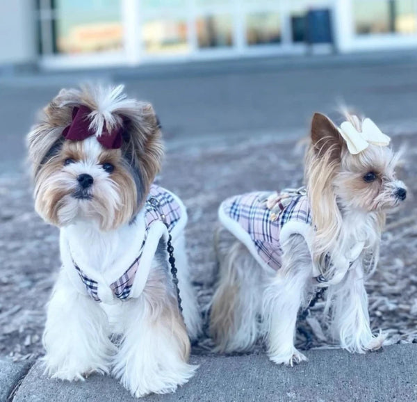 FURBERRY JUMPER VEST HARNESS