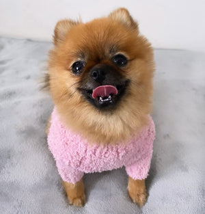 CHEWNEL JUMPER SWEATER