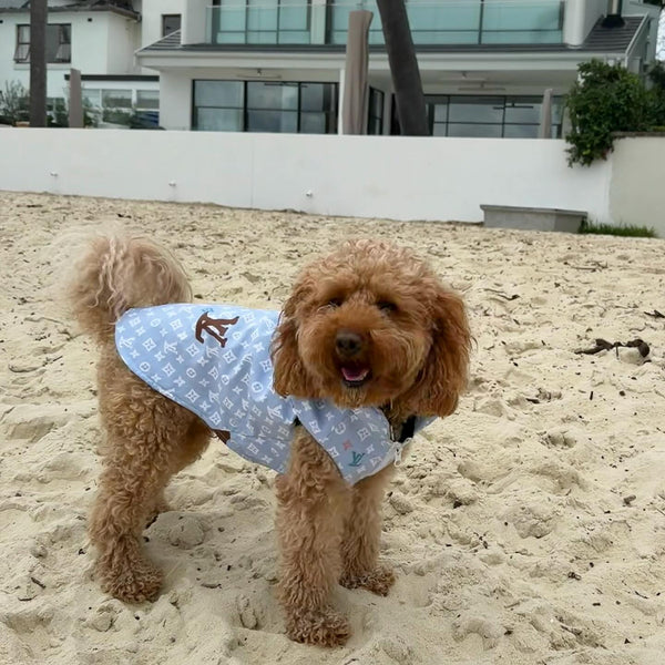 CHEWY BLUE VEST