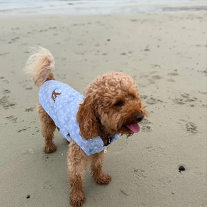 CHEWY BLUE VEST