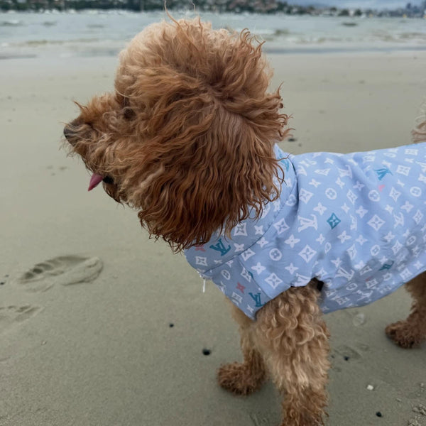 CHEWY BLUE VEST
