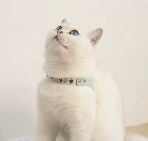 CRYSTAL JEWEL HARNESS & LEASH SET