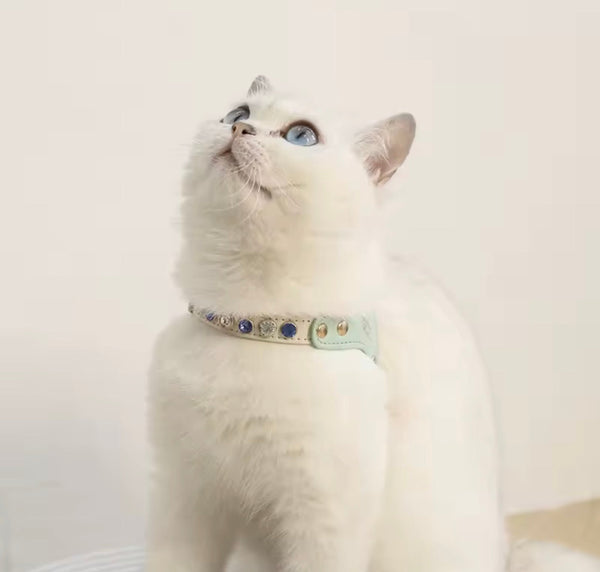 CRYSTAL JEWEL HARNESS & LEASH SET