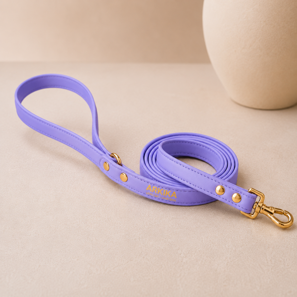 JEWEL BOX LUXURY DOG HARNESS & LEASH SET
