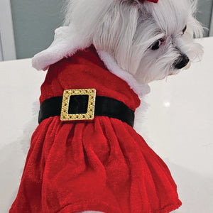 MS. CLAUS DRESS
