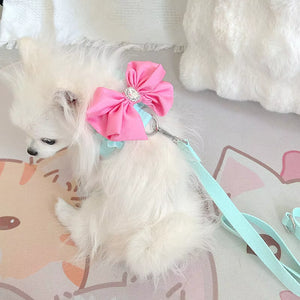 BOW HARNESS AND LEAD