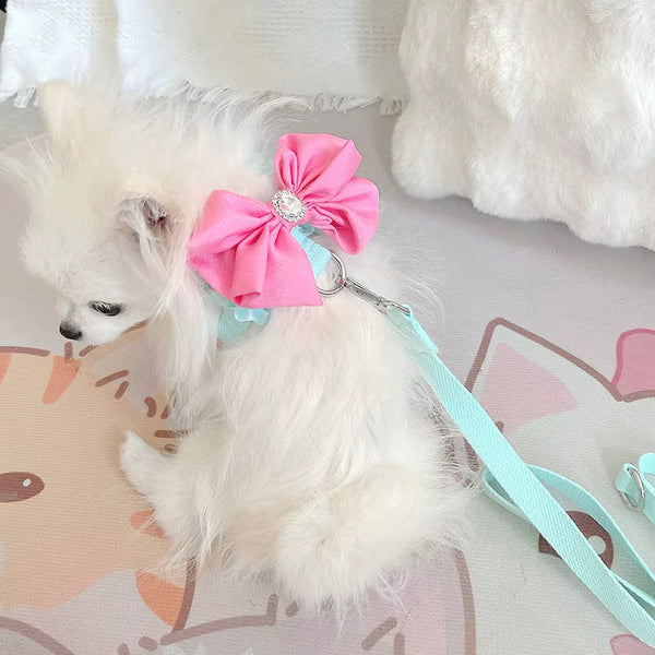 BOW HARNESS AND LEAD