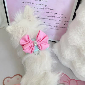 BOW HARNESS AND LEAD
