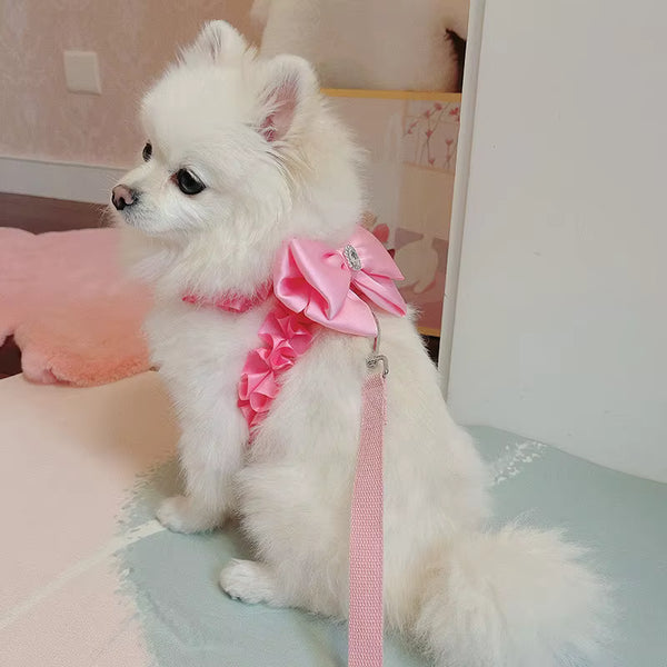 BOW HARNESS AND LEAD