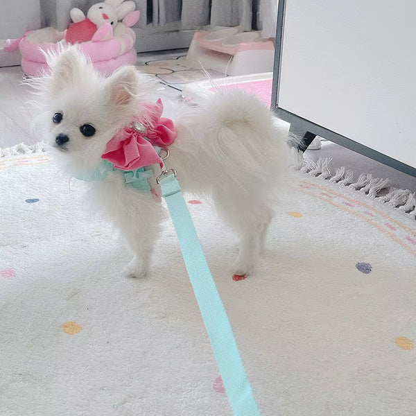 BOW HARNESS AND LEAD