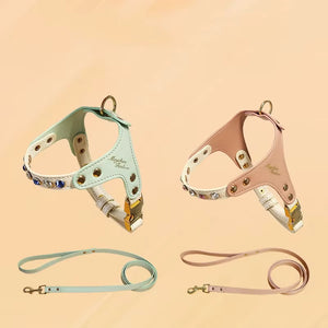 CRYSTAL JEWEL HARNESS & LEASH SET