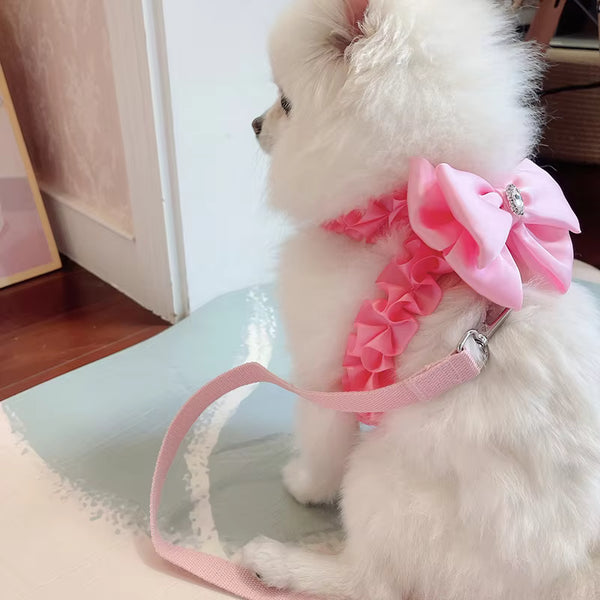 BOW HARNESS AND LEAD