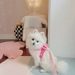 BOW HARNESS AND LEAD