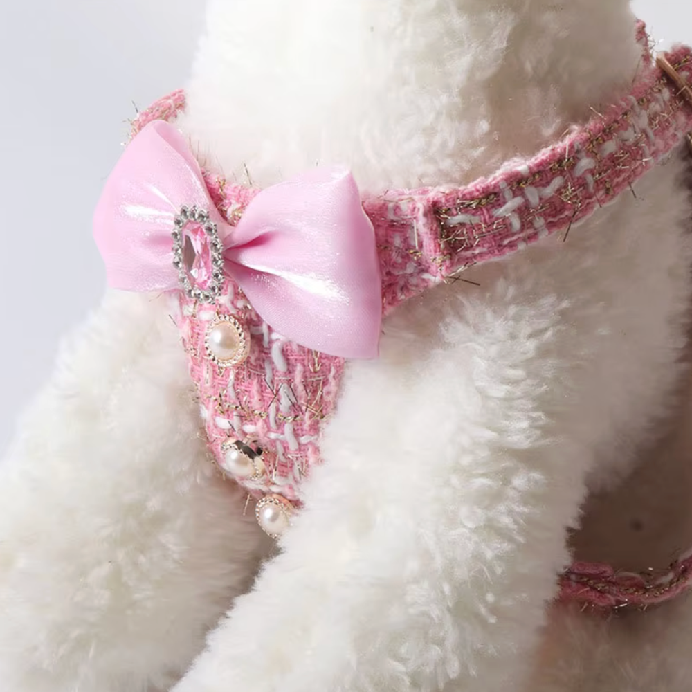 THE COCO TWEED HARNESS AND LEASH