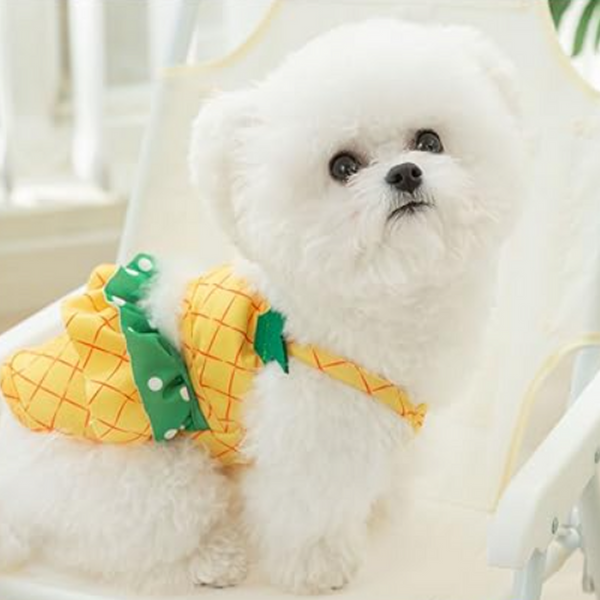 PINEAPPLE DOG BIKINI