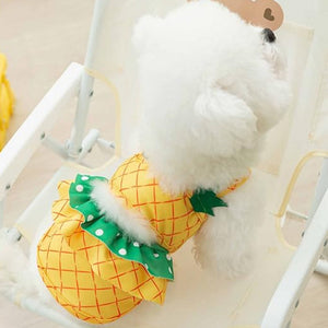 PINEAPPLE DOG BIKINI