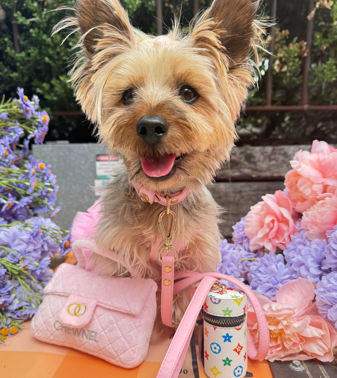 CHEWNEL BAG TOY