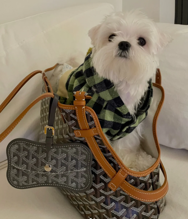 Dogyard Tote Pet Carrier