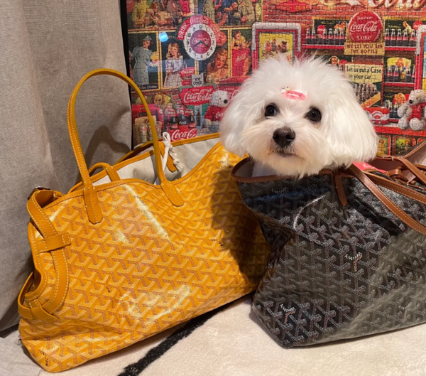 Dogyard Tote Pet Carrier