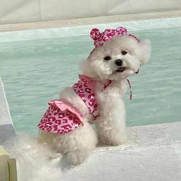 LEOPARD PRINT BIKINI AND HAT SET