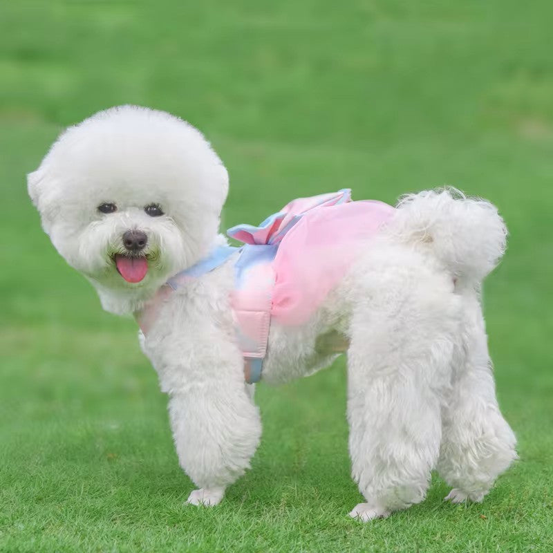 RAINBOW BOW HARNESS AND LEASH