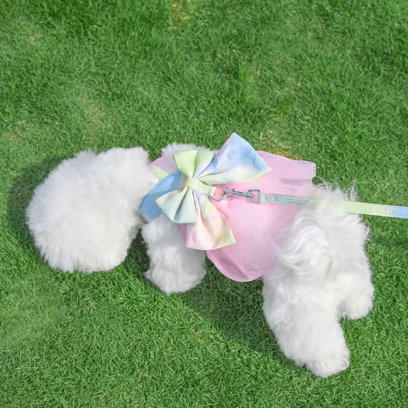 RAINBOW BOW HARNESS AND LEASH