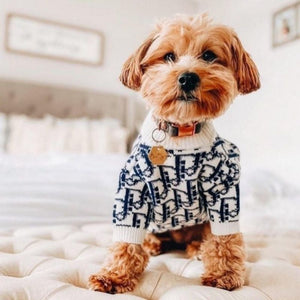 Dogior Jumper Sweater