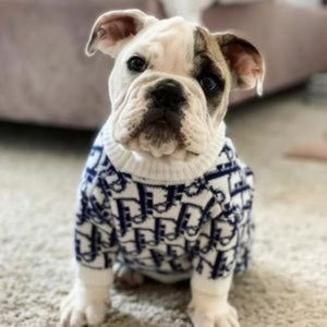 Dogior Jumper Sweater