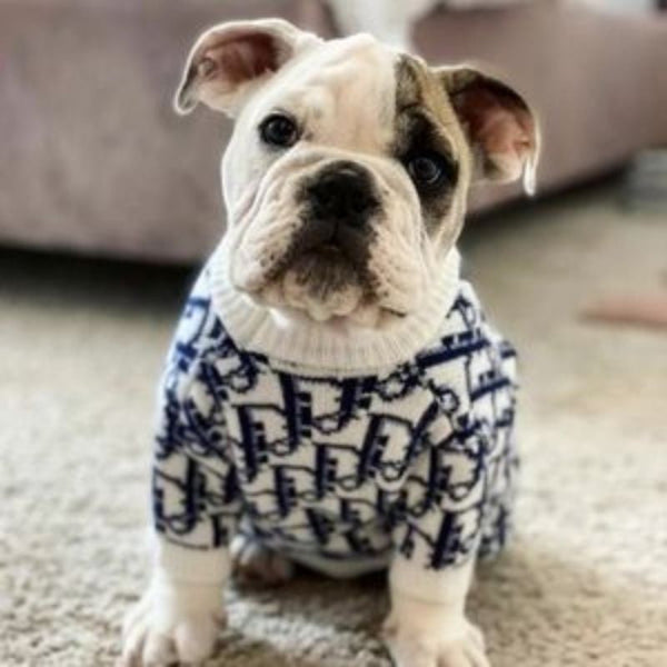 Dogior Jumper Sweater