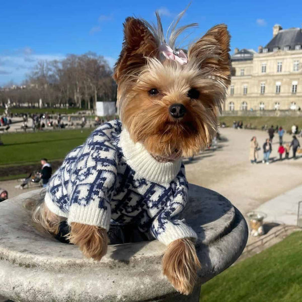 Dogior Jumper Sweater