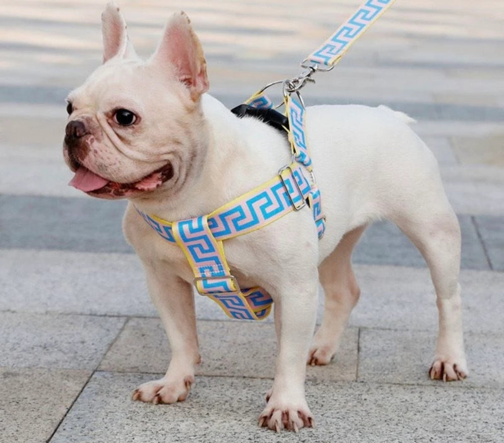 FURSACE HARNESS AND LEAD