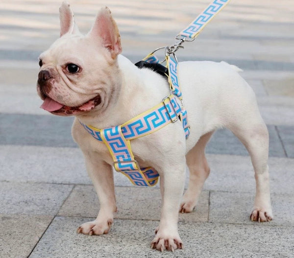 FURSACE HARNESS AND LEAD