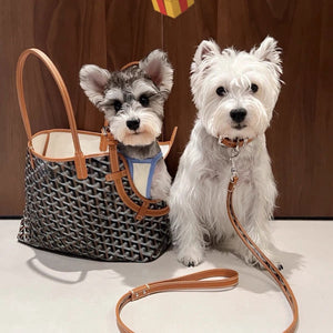 Dogyard Tote Pet Carrier