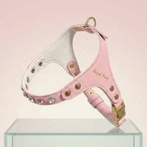 CRYSTAL JEWEL HARNESS & LEASH SET