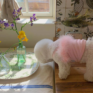 PINK FEATHER TANK TOP