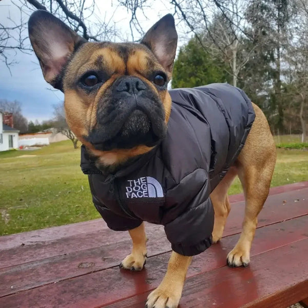 DOG FACE PUFFER JACKET