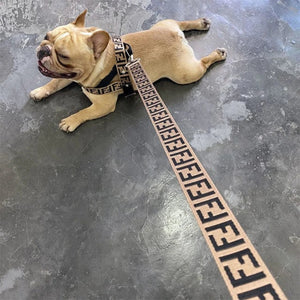 FURDI HARNESS AND LEAD