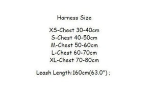 FURDI HARNESS AND LEAD